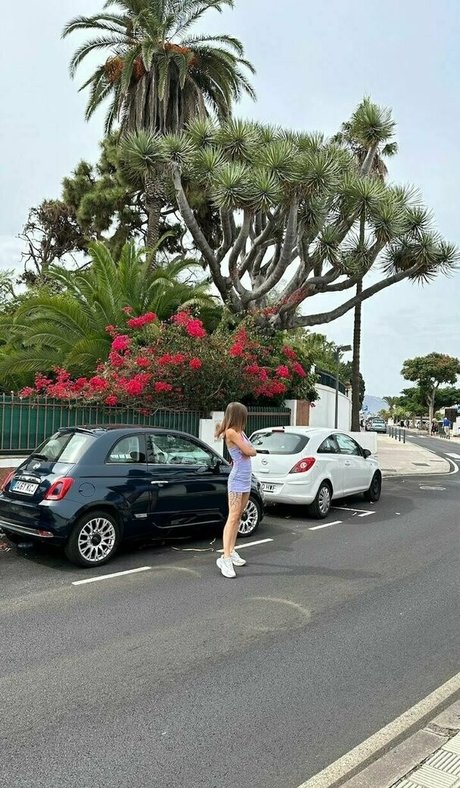 aliss foxy nudes model picture