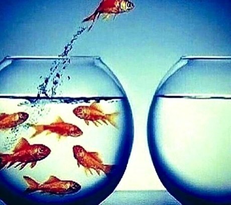 Kendall Jenner Ai Porn model pretty pic