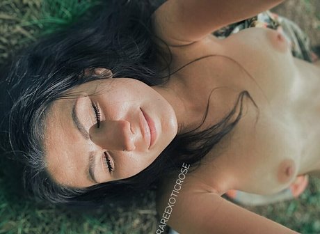 rareexoticrose star top pictures