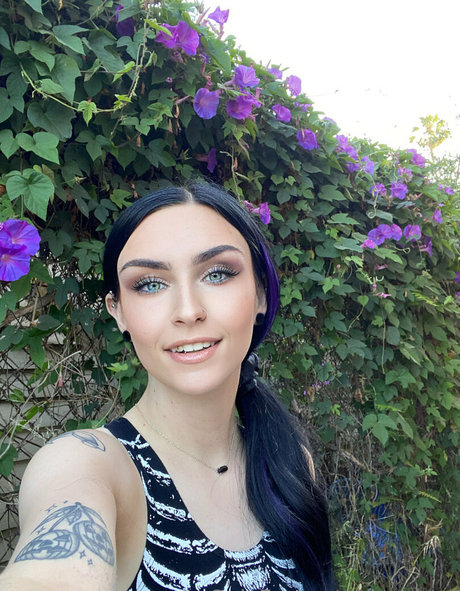 lost cos star picture