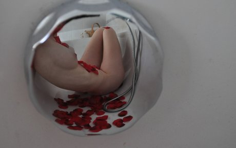 GroovyFlowerGirl high quality star gallery