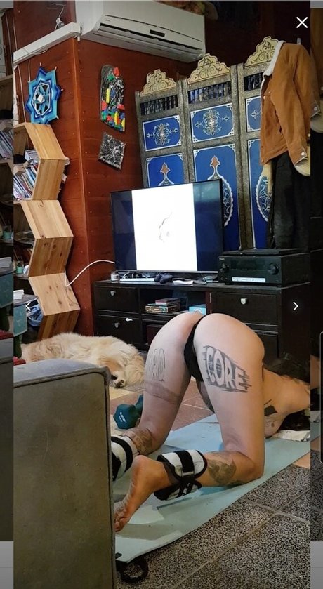 Bar Shachar star adult gallery