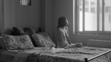 laurenmuccino nude pornstar gallery