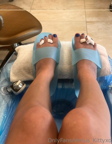 venus kittyxo star porn picture