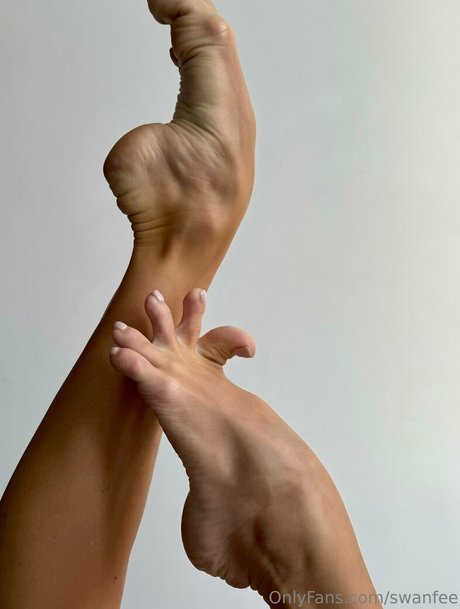 swanfee pornstar nudes gallery