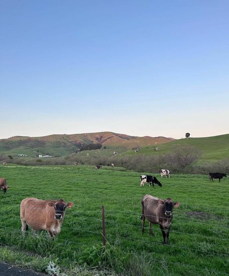 Anika Grace sexy actress image