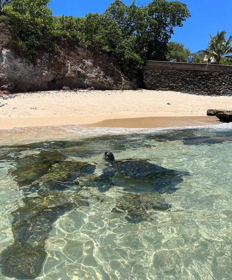 Anika Grace Profile Photo