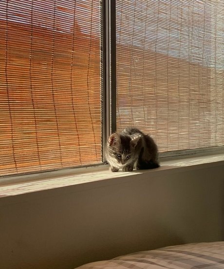 Anika Grace star high quality archive