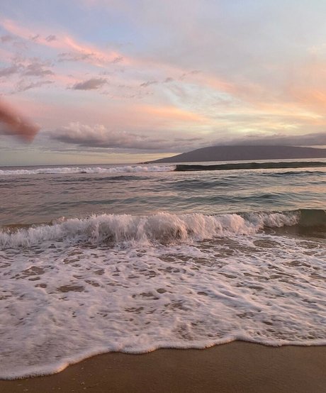 Anika Grace hot star archive