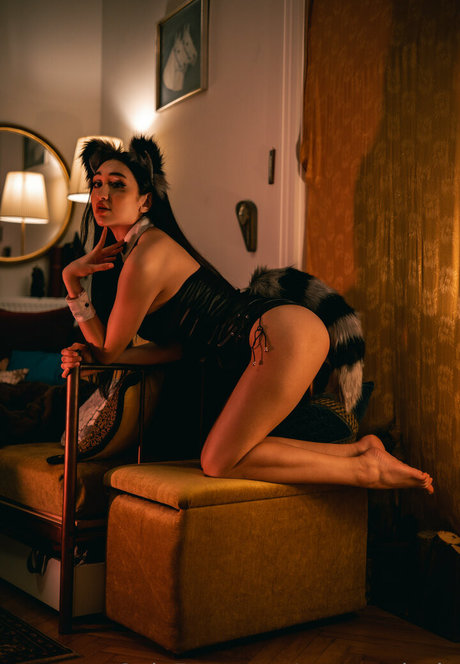 mayteodosio model image