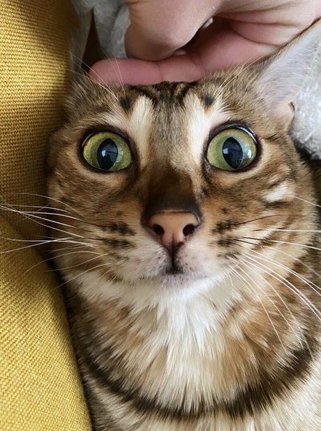 cartercruise star best img