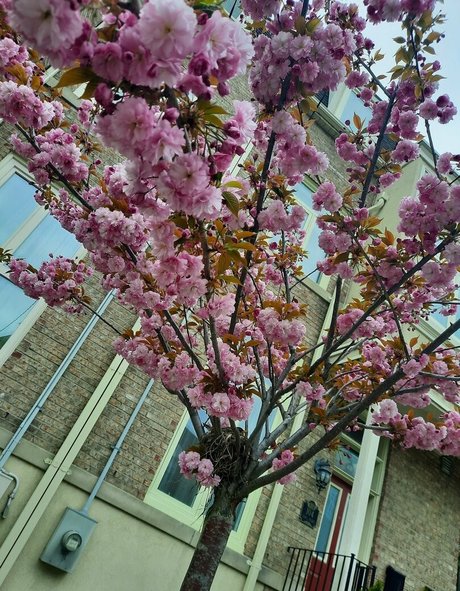 bbw ass onlyfans best picture