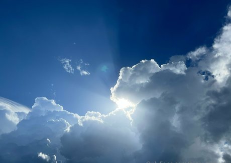 sucking cock onlyfans hot xxx archive