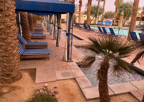 lilrosiedoll hot star image