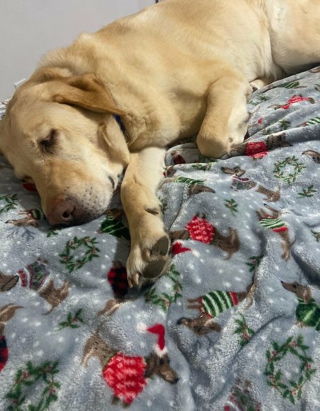 blonde cowgirl onlyfans xxx pic