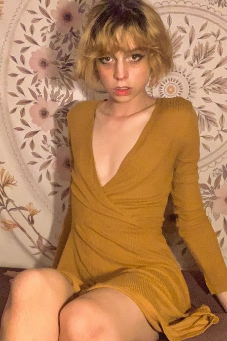 Cd Bell model pretty archive