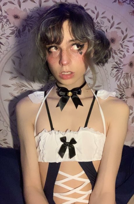 Cd Bell best model picture