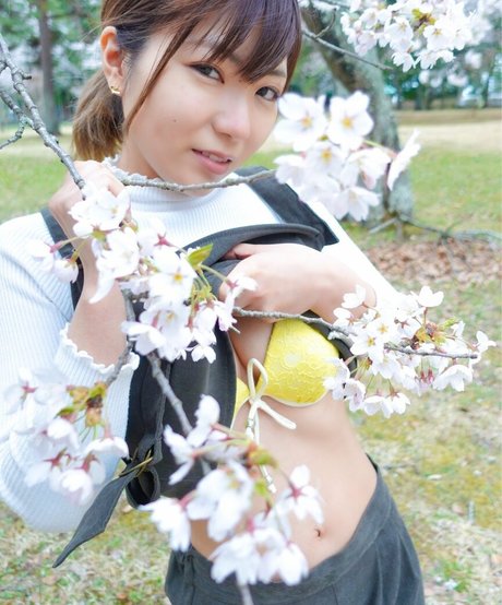 Natsuki Tanaka model high quality images