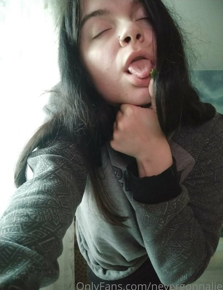 nevergonnalie model art img