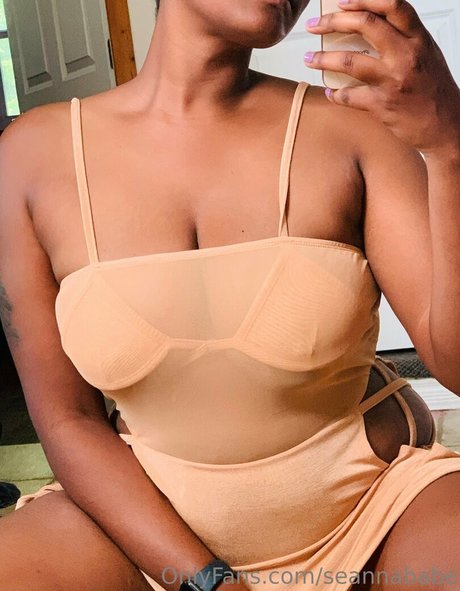 seannababe perfect pornstar gallery