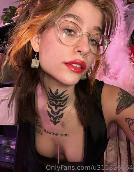 data night Photo Gallery