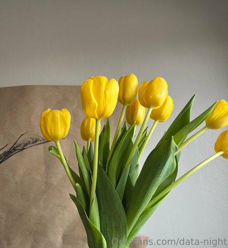 data night pornographic actress picture