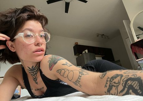 data night free pornstar photos