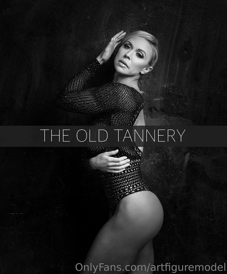 artfiguremodel best pornstar galleries