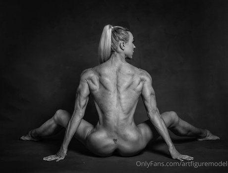 artfiguremodel beautiful star photos