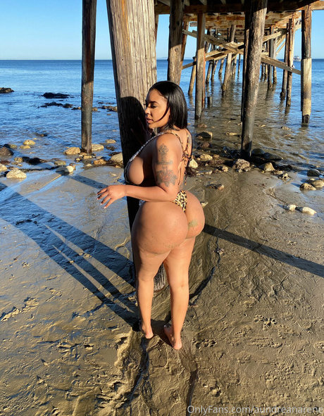 aundreanarene Profile Photo