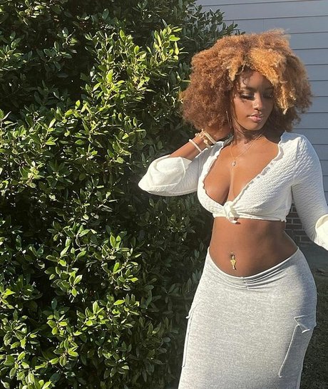 xo rocky ox7 top star images