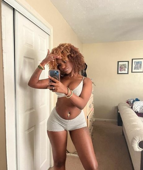 xo rocky ox7 star nice galleries