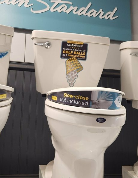 katcalico nice model picture