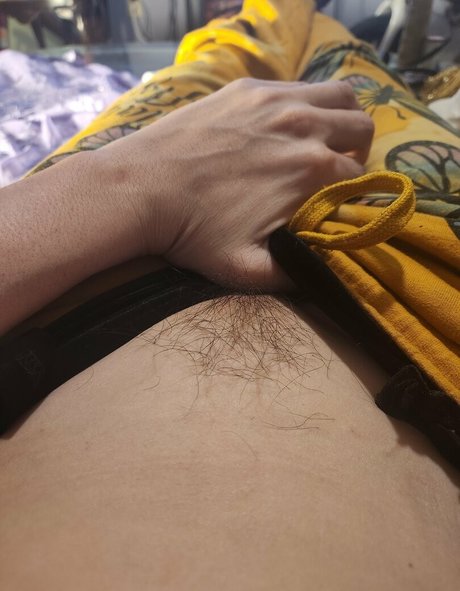 katcalico star free image