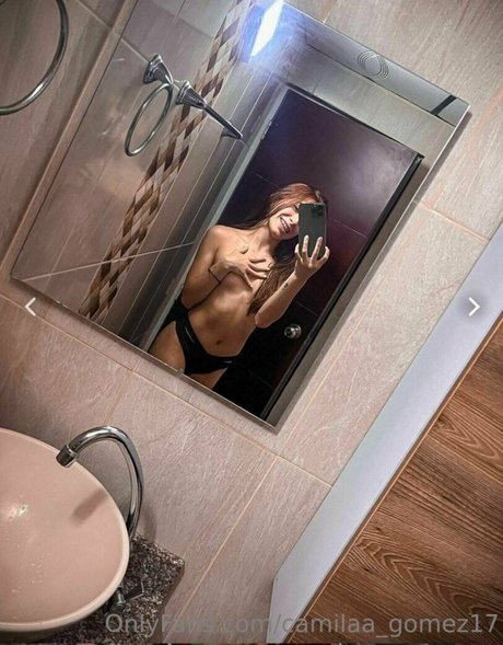 camilaa gomez17 art star galleries