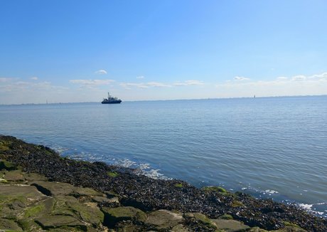 college girl onlyfans beautiful nude pic