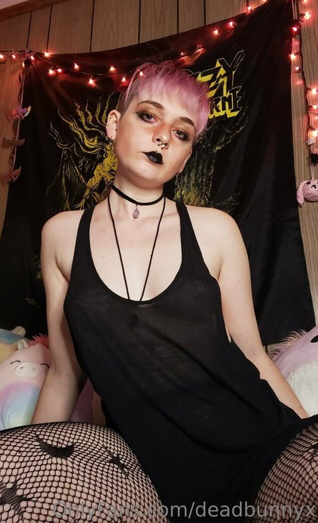 deadbunnyx xxx actress archive