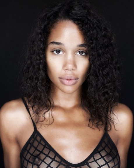 Laura Harrier pornstar perfect img