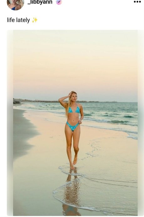 _libbyann star art pics