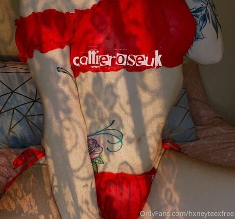 chicks with dicks onlyfans pretty picture