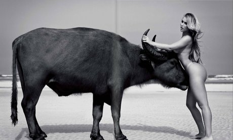 Andressa Ribeiro beautiful model image