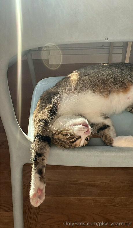 plscrycarmen star erotic photos