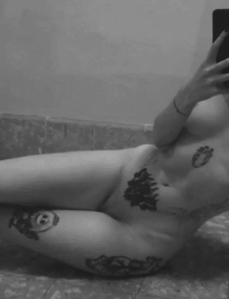 punk doberman nice model images