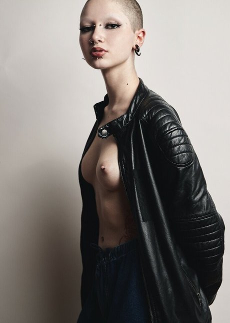 punk doberman model high quality img