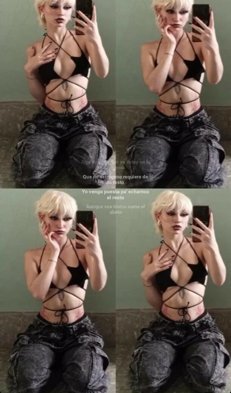 punk doberman model top photos