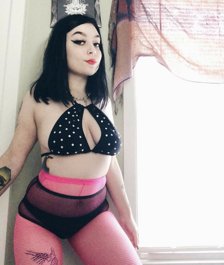 quaesitax star xxx archive