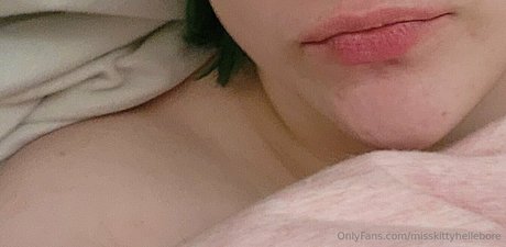 misskittyhellebore nice star pictures