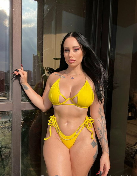 moneybirdette top star img