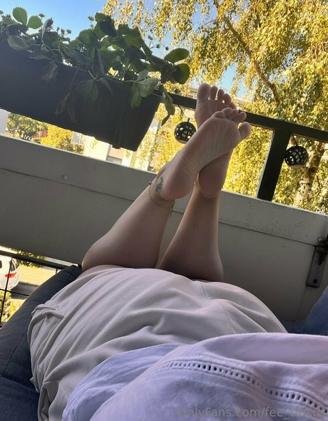 fee tfocus star hot image