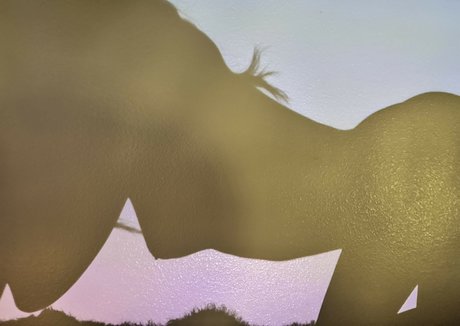 jackiefuxcks xxx model picture